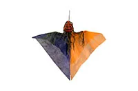 CT.BUČA-VISEČA--09129