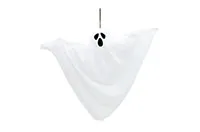 CT.DUH-VISEČI-09310